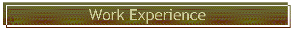 Work Experience
