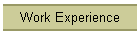 Work Experience